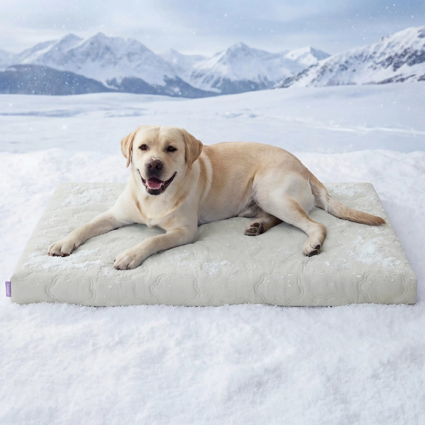 Lesure Orthopedic Cooling Dog Mat - Q-Max>0.5 with Washable Cover and Non-Slip Egg Crate Foam for Extra Large Dogs