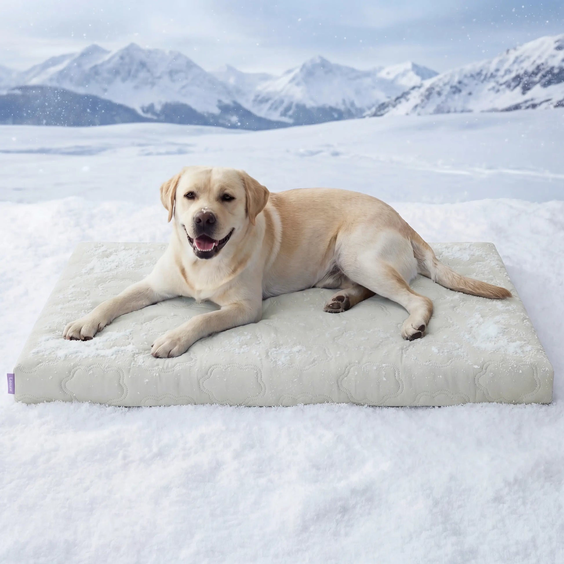 Lesure Orthopedic Cooling Dog Mat - Q-Max>0.5 with Washable Cover and Non-Slip Egg Crate Foam for Extra Large Dogs