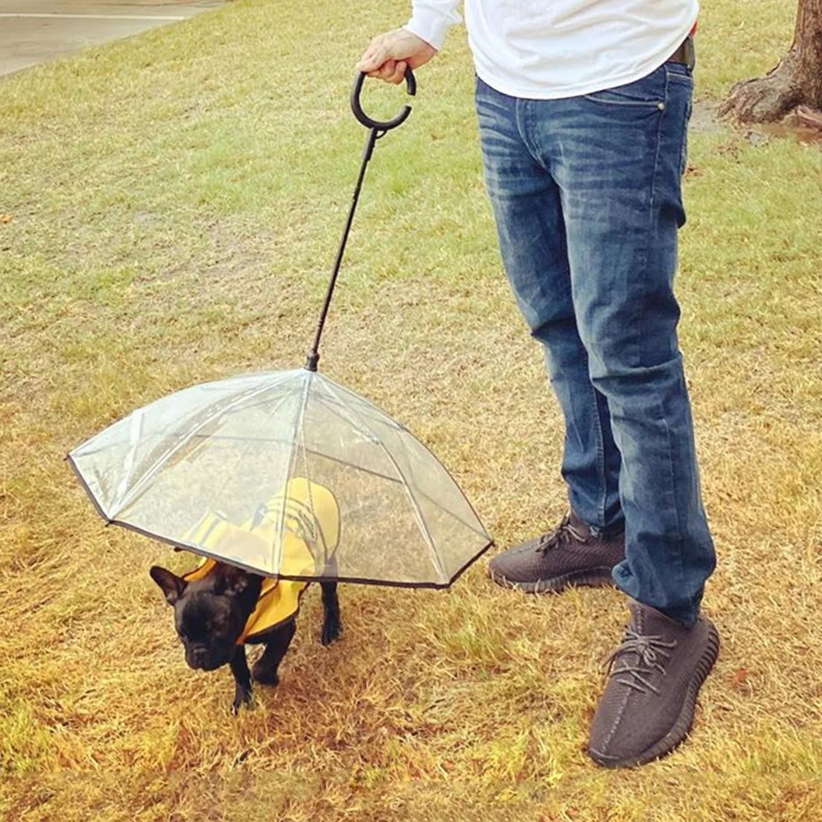 Clear Pet Umbrella with Flexible Handle and Leash for Small Dogs