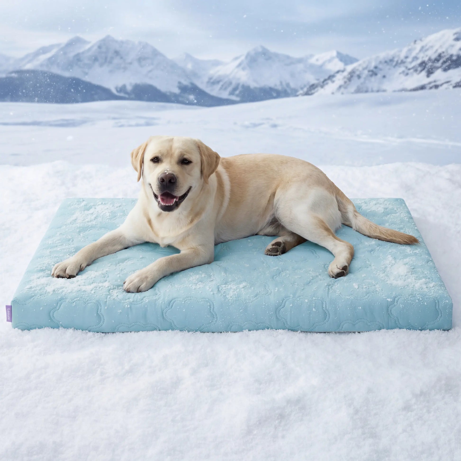 Lesure Orthopedic Cooling Dog Mat - Q-Max>0.5 with Washable Cover and Non-Slip Egg Crate Foam for Extra Large Dogs