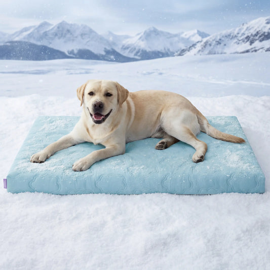 Lesure Orthopedic Cooling Dog Mat - Q-Max>0.5 with Washable Cover and Non-Slip Egg Crate Foam for Extra Large Dogs